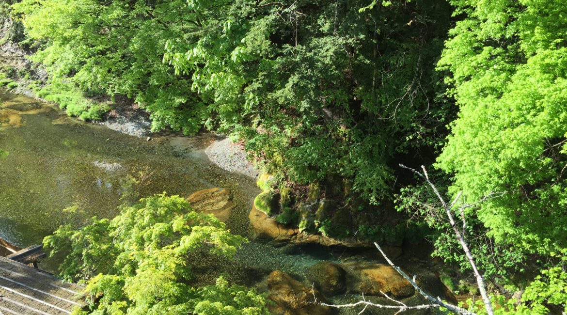 湯西川の清流